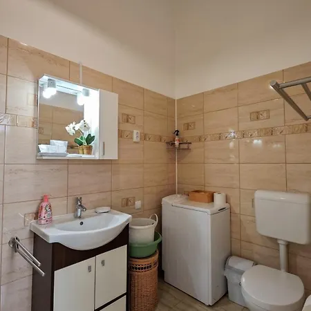 Neuhausz Residenz Ultra-central Apartament Timişoara