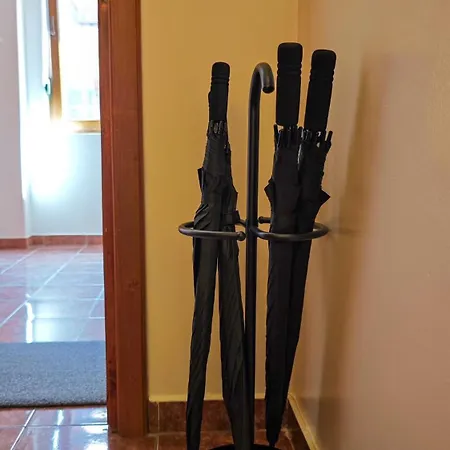 Neuhausz Residenz Ultra-central * Timişoara