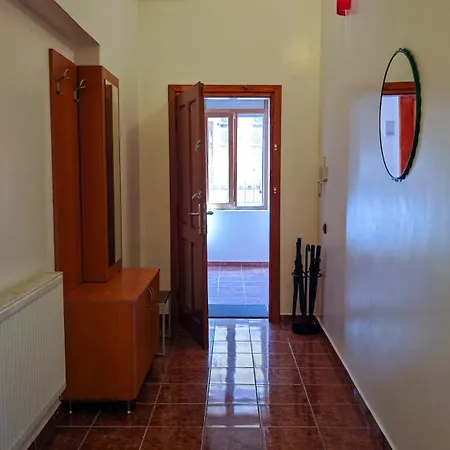 Neuhausz Residenz Ultra-central * Timişoara