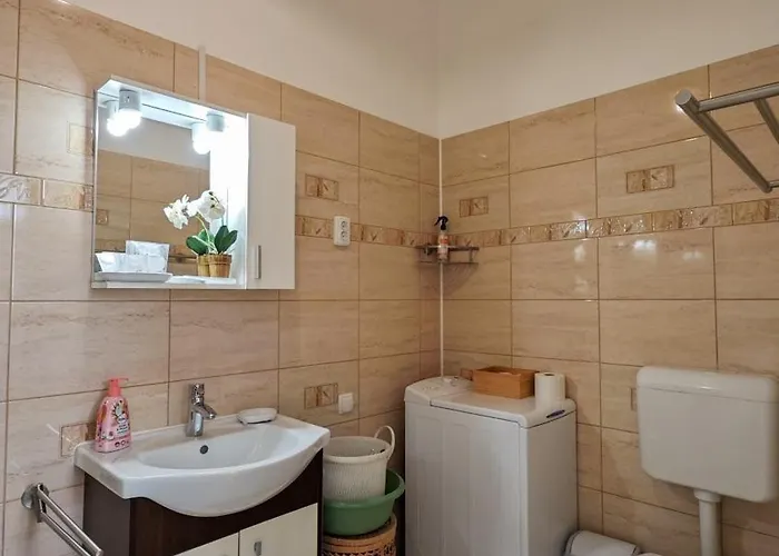 Neuhausz Residenz Ultra-central Apartment Timisoara