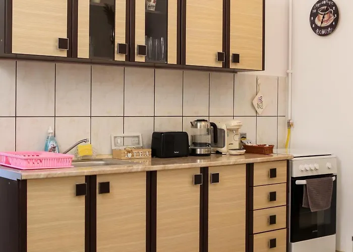 Neuhausz Residenz Ultra-central * Temešvár